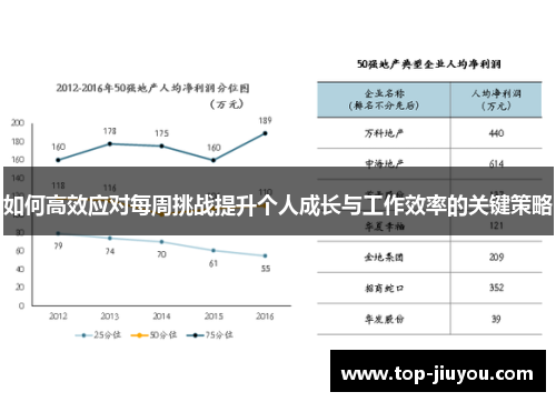如何高效应对每周挑战提升个人成长与工作效率的关键策略