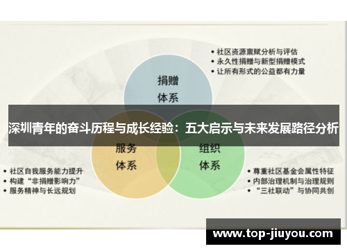 深圳青年的奋斗历程与成长经验：五大启示与未来发展路径分析