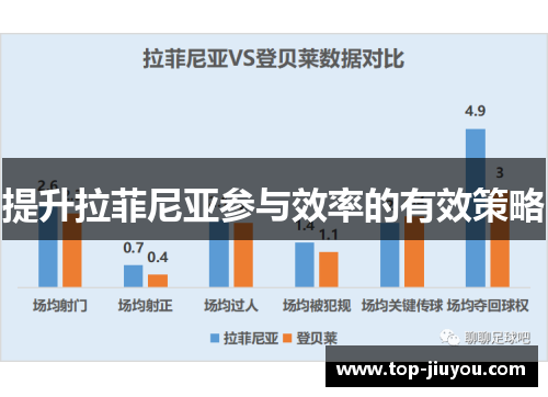 提升拉菲尼亚参与效率的有效策略